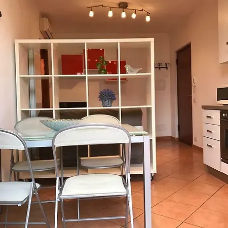 Apartment Orange & Mandarin *